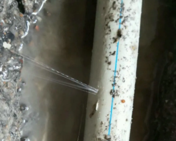安顺卫生间测漏水多少钱